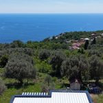 photo 2025 06 17 21 11 52(11)