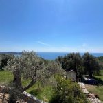 photo 2025 06 17 21 11 52(14)