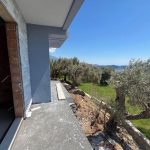 photo 2025 06 17 21 11 52(8)