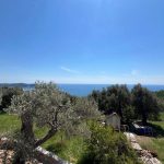 photo 2025 06 17 21 11 52(9)