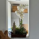 photo 2025 05 26 11 49 36