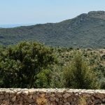 photo 2025 07 06 14 23 22(3)