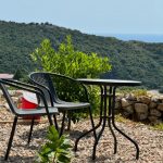 photo 2025 07 06 14 23 22(4)