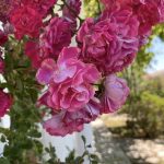 0d80ea8f afb4 4997 98b3 03ebc587c89e