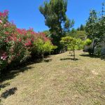 2cb40702 e144 4d53 9922 fb97653fde1d