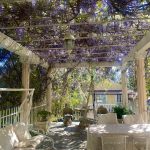 3524de67 6c80 4323 be3a 611f67a29336