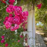 670fe4cf 8087 4895 b028 10bb6a29d721