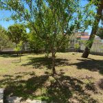 8141edb5 e46d 4030 aae2 d6efd72aeb32