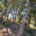 950d6926 0c48 407f af56 05e71609ff9d