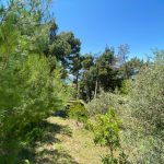 bcc77aa9 75be 45b1 b0a2 6ad0349cb1ca