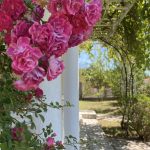 f3c74eca 2eba 4fee 963f 51e2186515a8