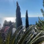 photo 2025 04 10 19 55 25(13)