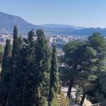 photo 2025 04 10 19 55 25(14)