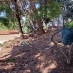 photo 2025 04 10 19 55 25(16)