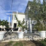 photo 2025 06 24 01 08 01(5)