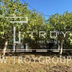 photo 2025 08 25 18 57 05