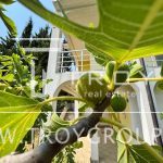 photo 2025 08 25 18 57 05(4)