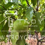 photo 2025 08 25 18 57 05(5)