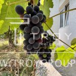 photo 2025 08 25 18 57 05(6)