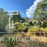 photo 2025 08 25 18 58 04(8)