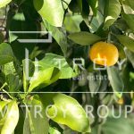 photo 2025 09 16 20 51 17(1)