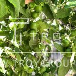 photo 2025 09 16 20 51 17(2)