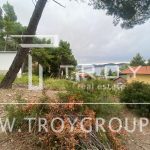 photo 2025 10 03 22 07 17