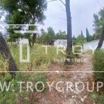 photo 2025 10 03 22 07 17(1)