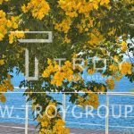 photo 2025 10 09 19 10 42(11) optimized