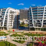 photo 2025 10 17 19 10 04(7)